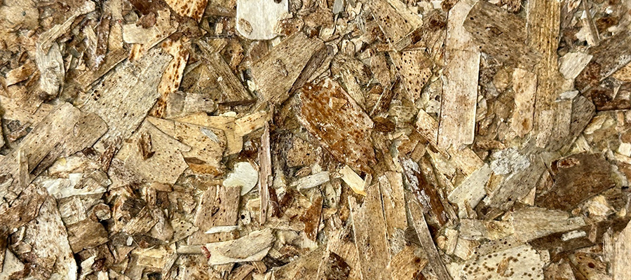 OSB Color panel