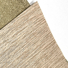 Model Solution Official Website
