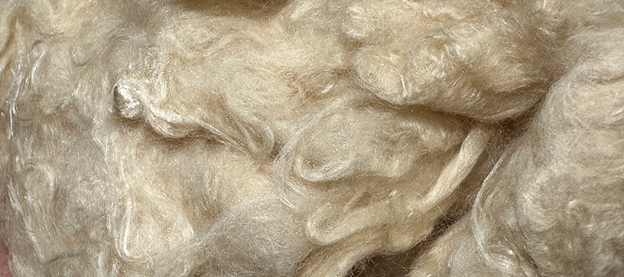 SeaCell cellulose and seaweed textile