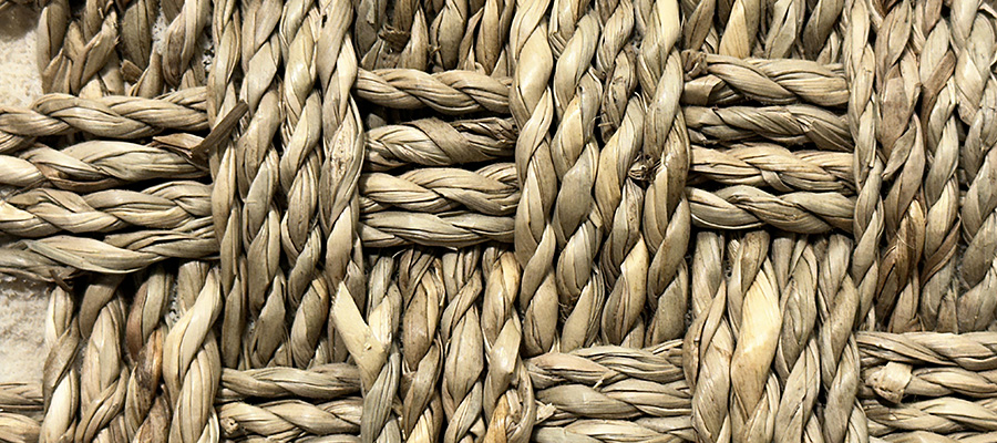 Seagrass carpet
